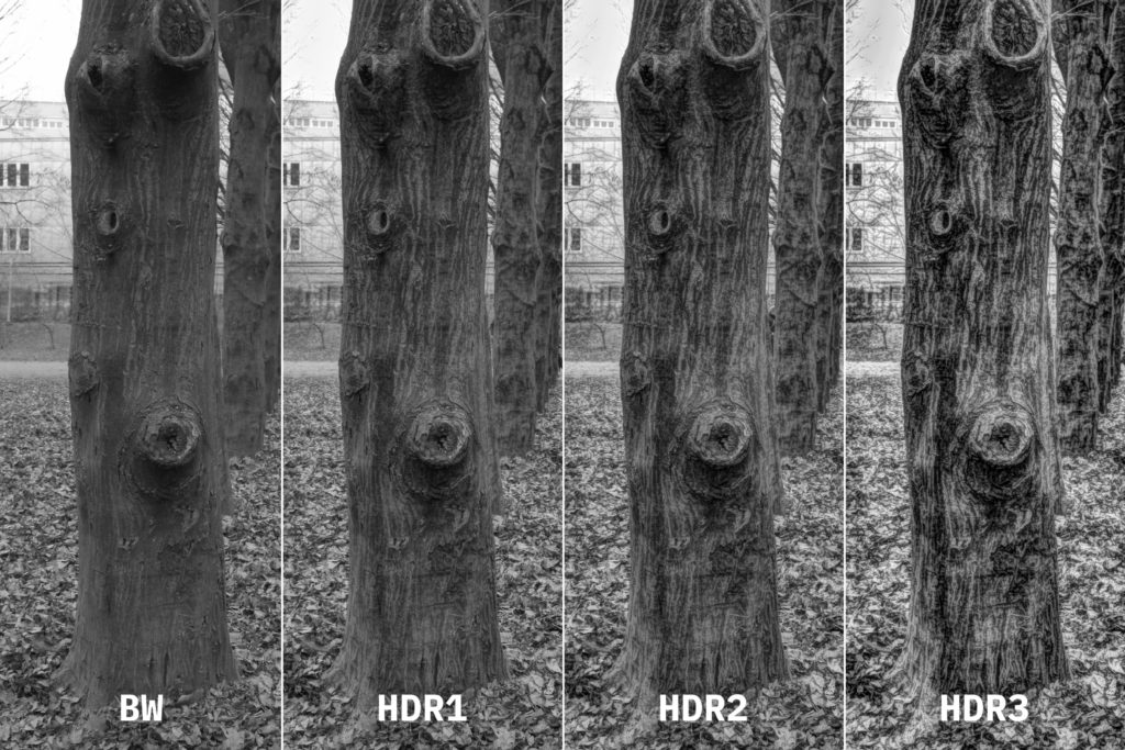 Ricoh GR III HDR Tone levels comparison in black and white.