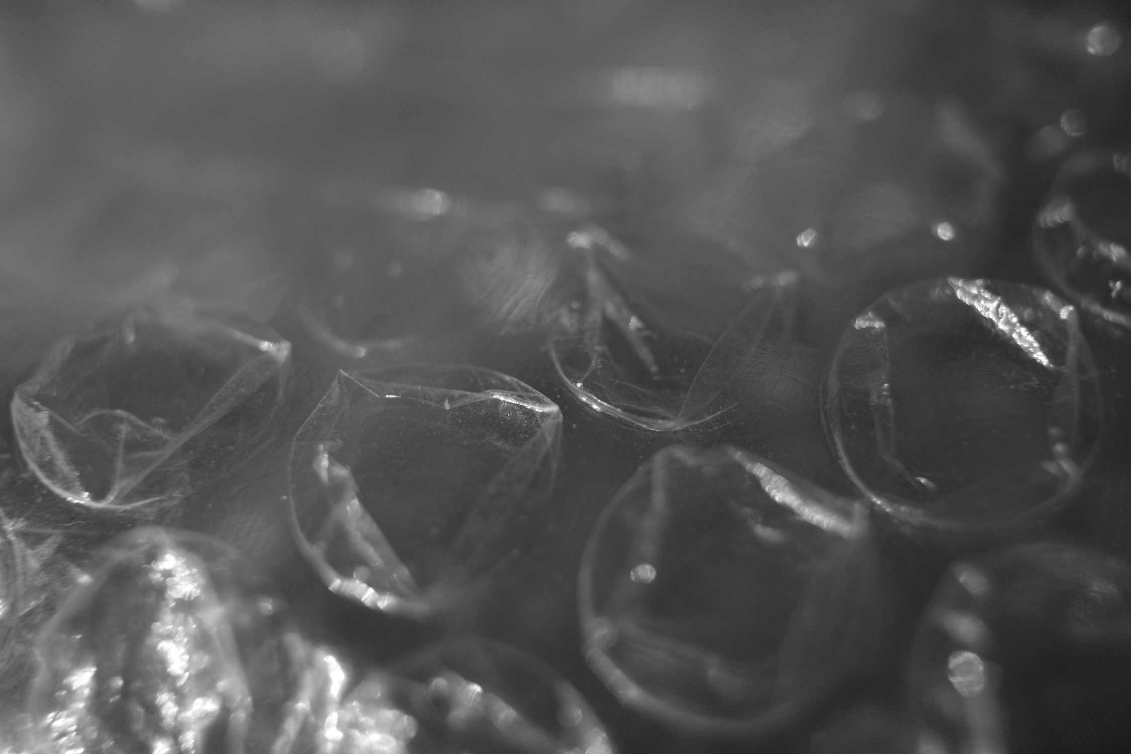 Papier bulle, vue rapprochée, photo noir et blanc.